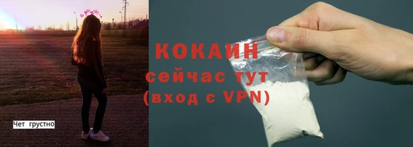 винт Ветлуга