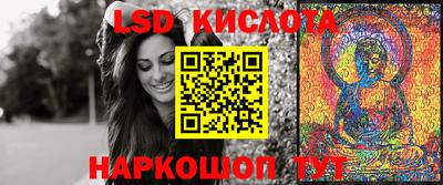 PSILOCYBIN Камышлов