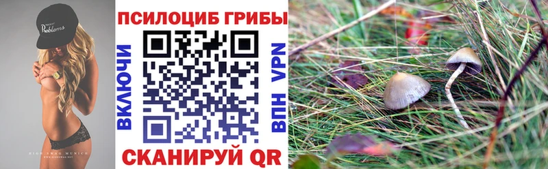 Галлюциногенные грибы мухоморы  Осинники 