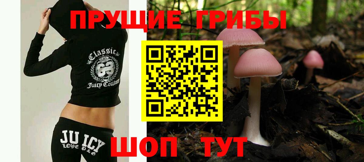 Псилоцибиновые грибы MAGIC MUSHROOMS Осинники