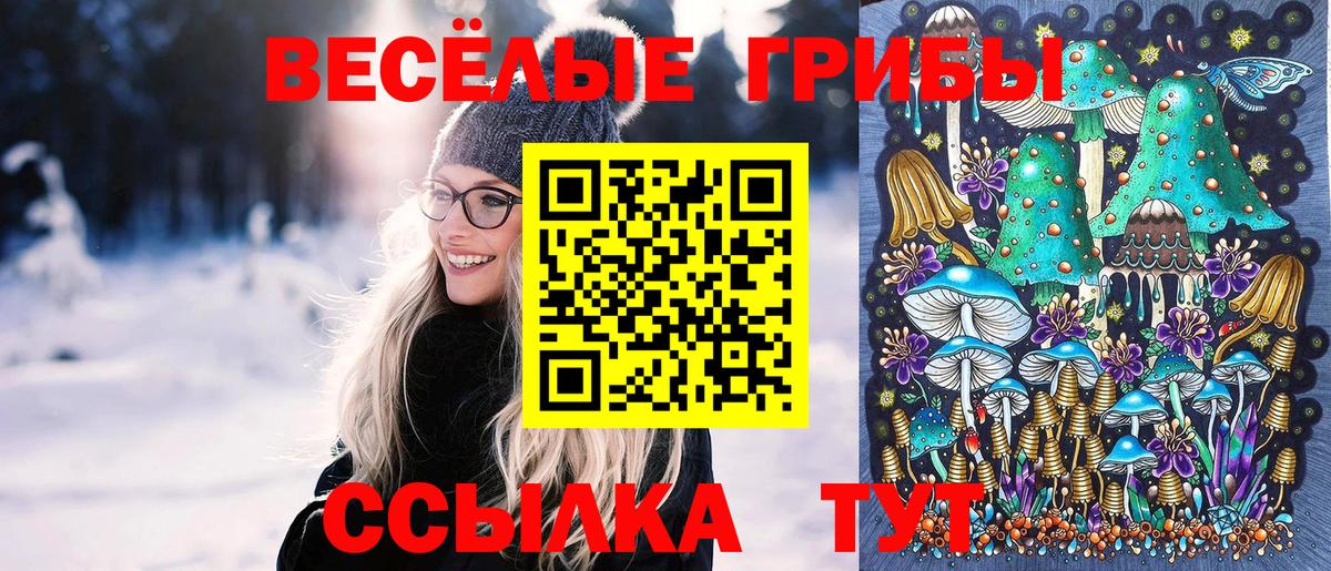 Галлюциногенные грибы мицелий  Вход с VPN  купить наркотики цена  Осинники 